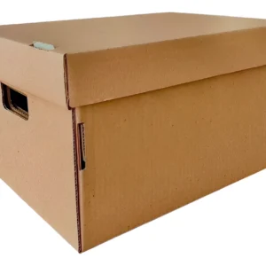 10 Cajas Archivo Americana